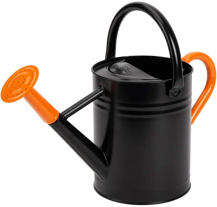 Cesun Galvanized Steel Watering Can