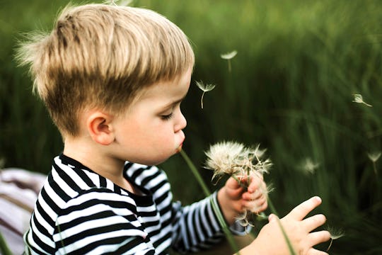 toddler blowing dandelion petals