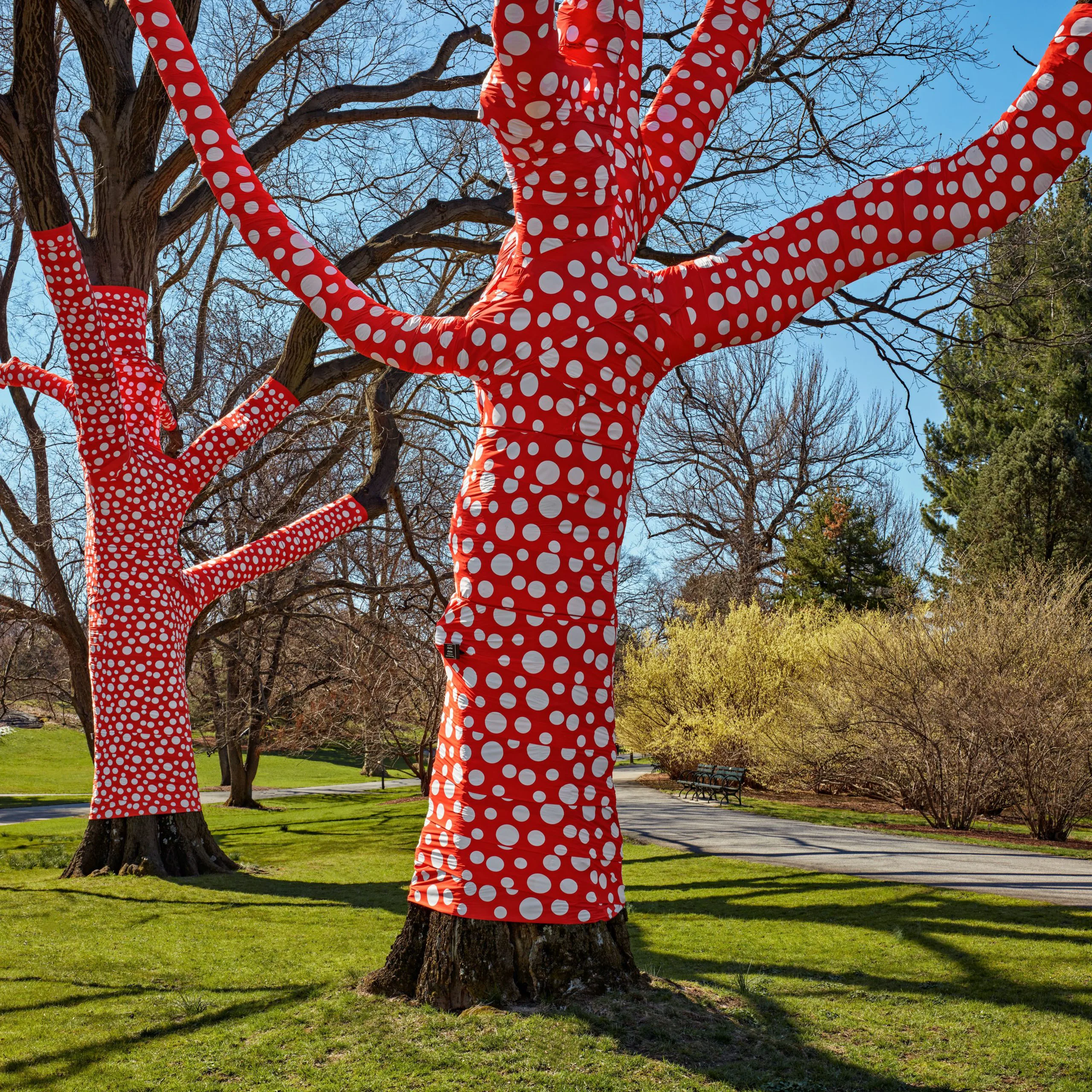 Yayoi Kusama Lends Her Spots to the New York Botanical Garden