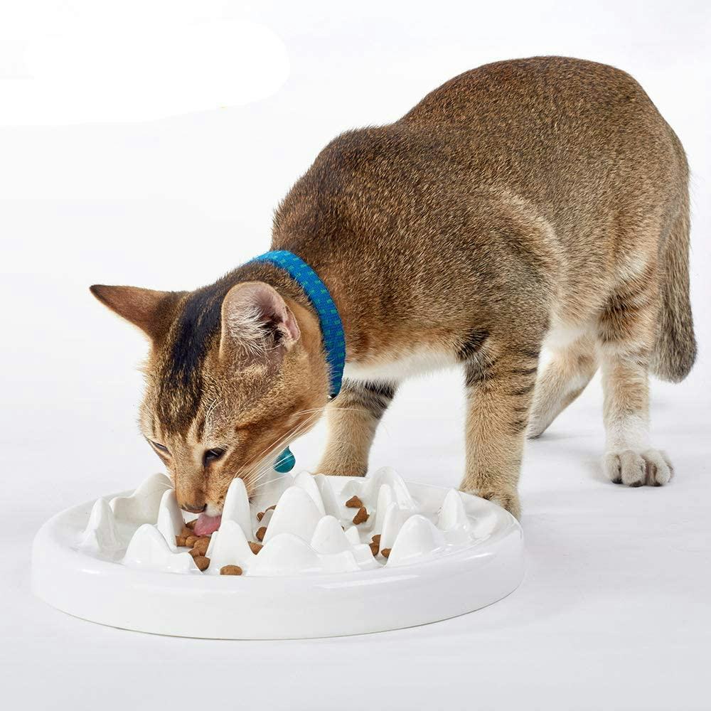 The 7 Best Cat Bowls