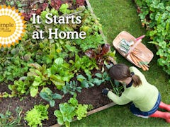 Simple Mills' It Starts At Home giveaway will gift 10 people $1,000 towards Gardeners.com.