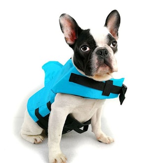 Dog Life Jacket with Shark Fin in Blue or Orange