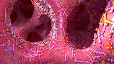A microscopic view of the inside of the gut with visible microbes