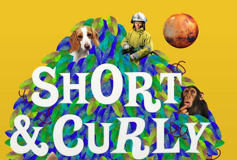 'Short & Curly' is a great ethics-based podcasts for tweens.