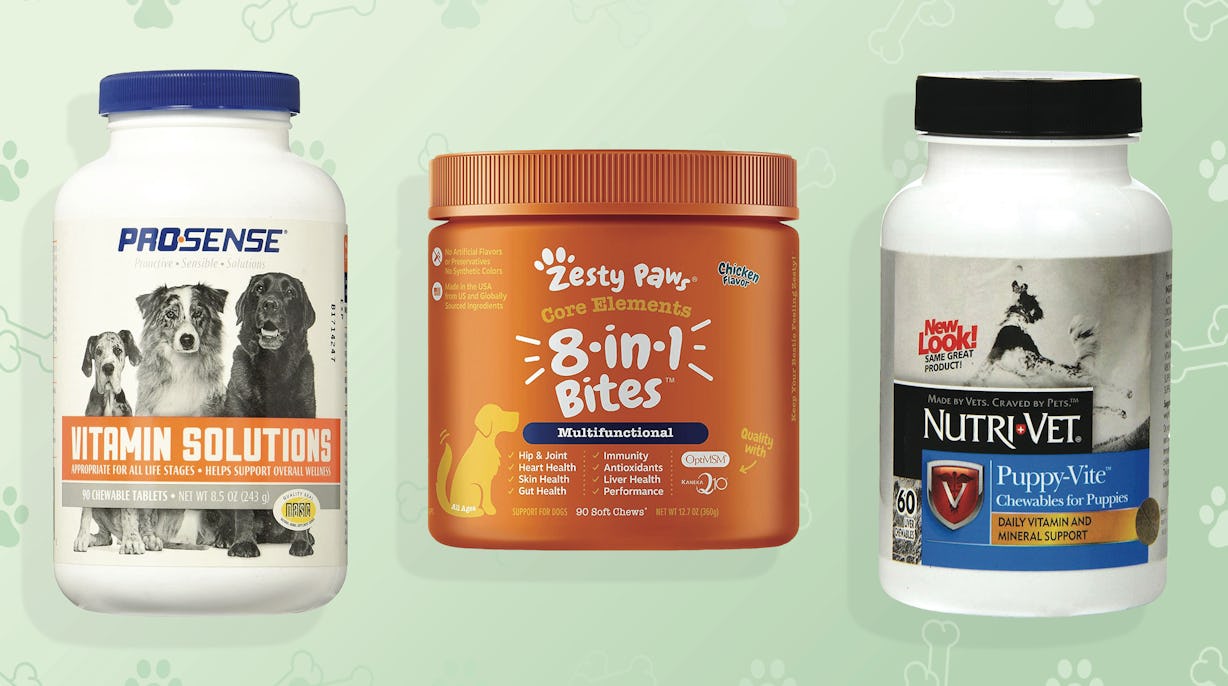 The 5 Best Dog Vitamins