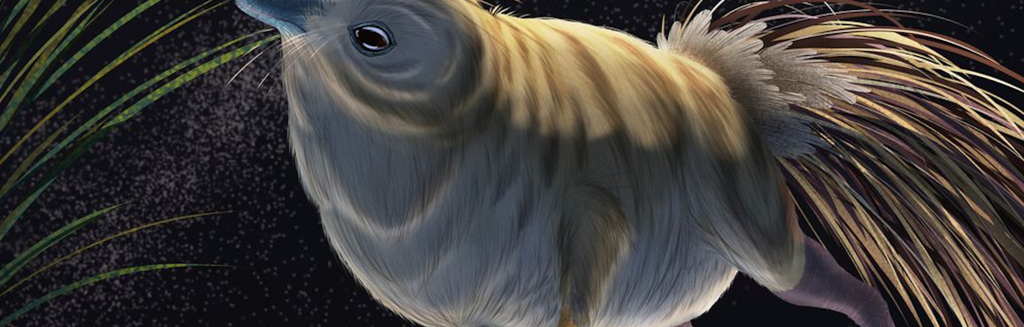 small dinosaur hunting at night