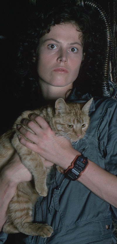 sigourney weaver as ellen ripley holding cat in alien