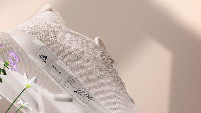 Adidas Allbirds Futurecraft.Footprint
