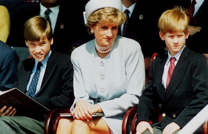 rincess Diana, Princess of Wales with her sons Prince William and Prince Harry attend the Heads of S...