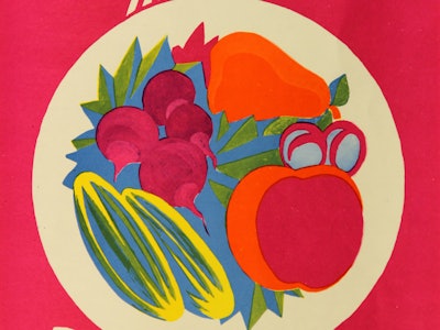 An illustration of a plate of healthy food