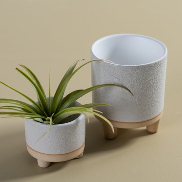 Delray Footed Pot