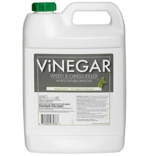 Energen Carolina Vinegar Weed & Grass Killer