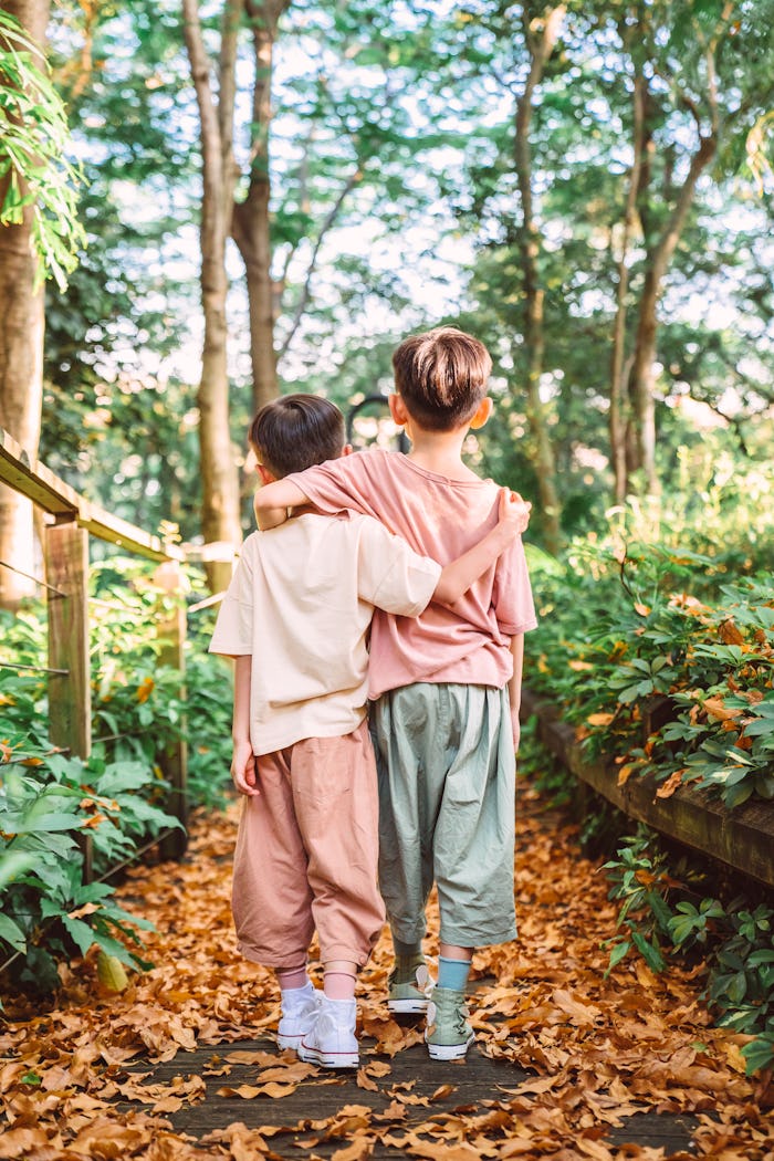 brother's walking arm in arm down a wooden path in country side, when is national brothers day