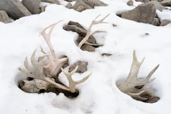 a-critical-element-of-the-climate-crisis-may-be-hidden-in-the-arctic