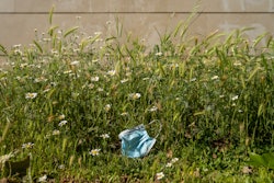 Disposable face mask on a bed of grass