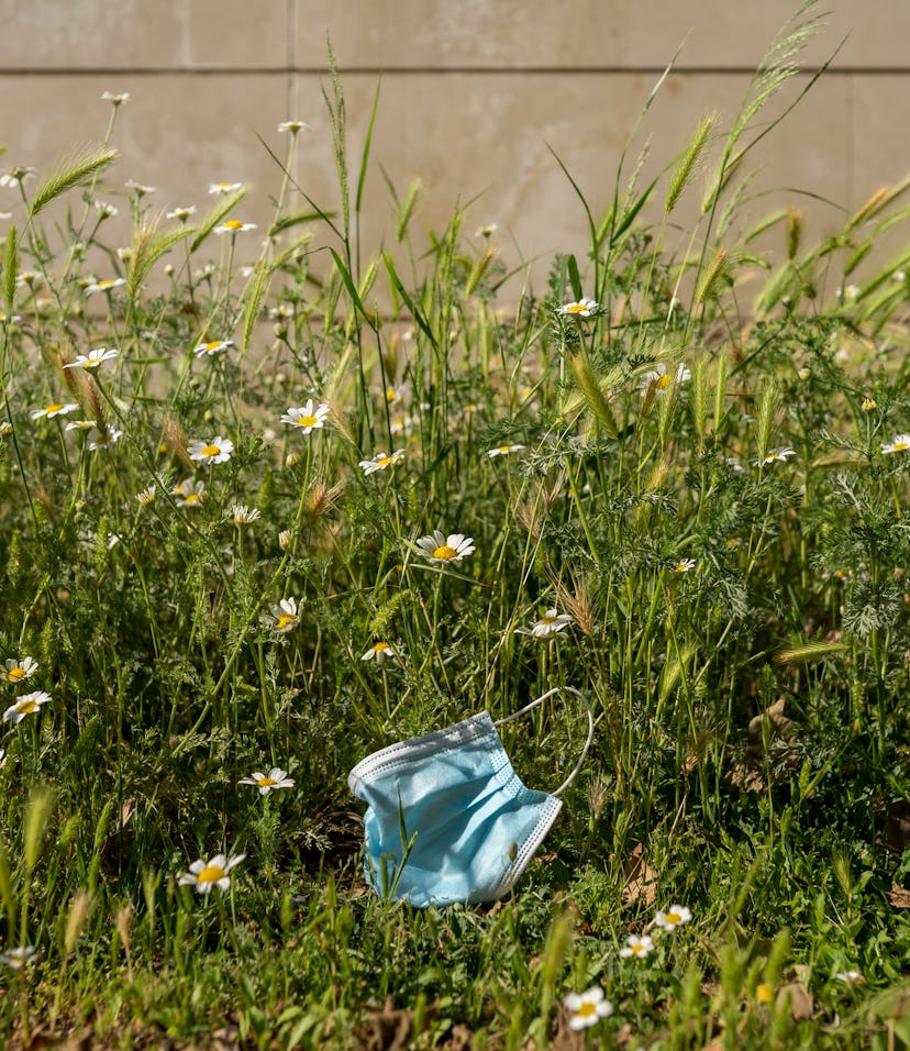 Disposable face mask on a bed of grass