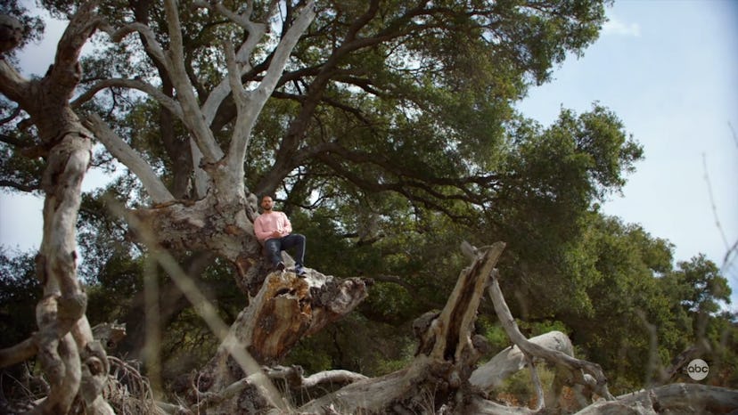 Jackson reconnected with nature in Season 17 of 'Grey's Anatomy.' Screenshot via Hulu
