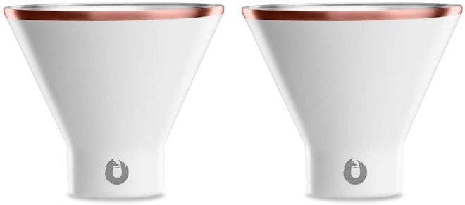 SNOWFOX Insulated Stainless Steel Martini Glasses, 8 oz. (Set Of Two) 