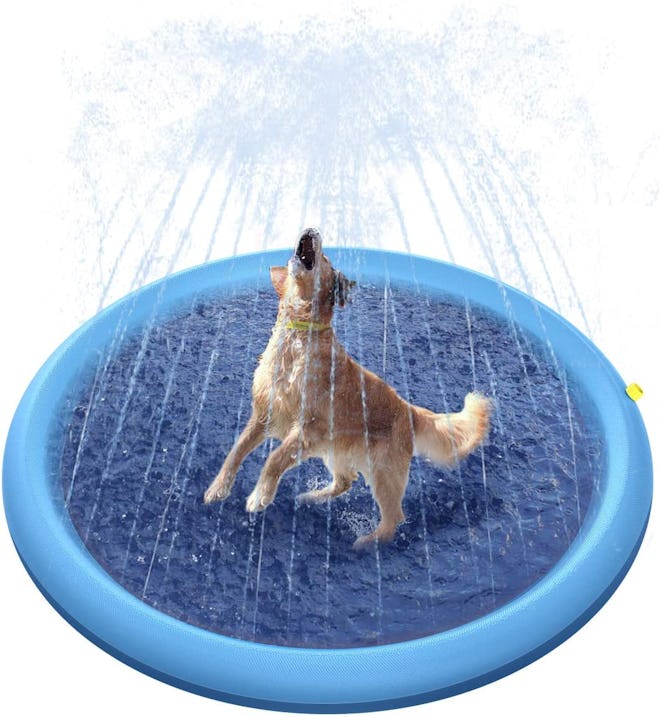 The Peteast Splash Sprinkler Pad is one of the best kiddie pools for dogs.