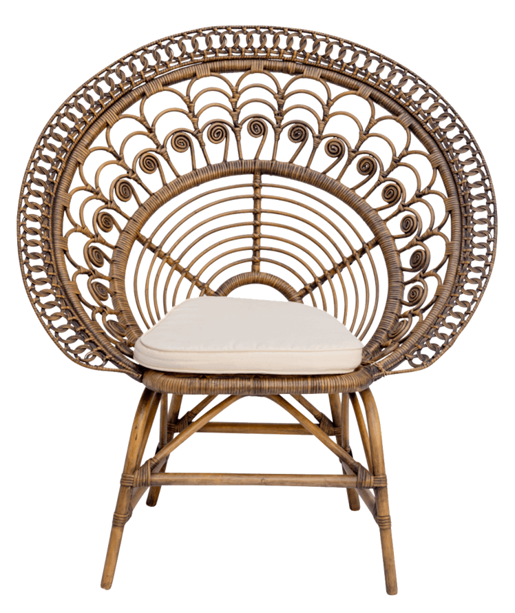 Peacock Chair in Rattan
