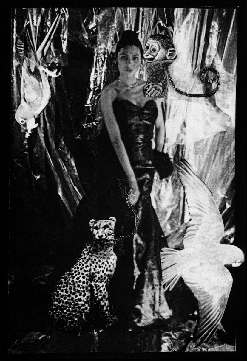 Self-Portrait by Ming Smith as Josephine with a tiger on a leash 