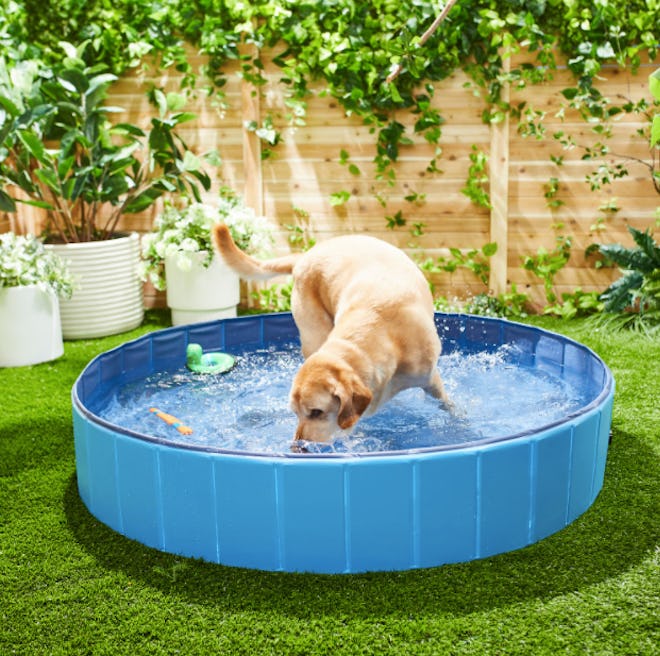 The FRISCO Outdoor Swimming Pool Large is one of the best kiddie pools for dogs.