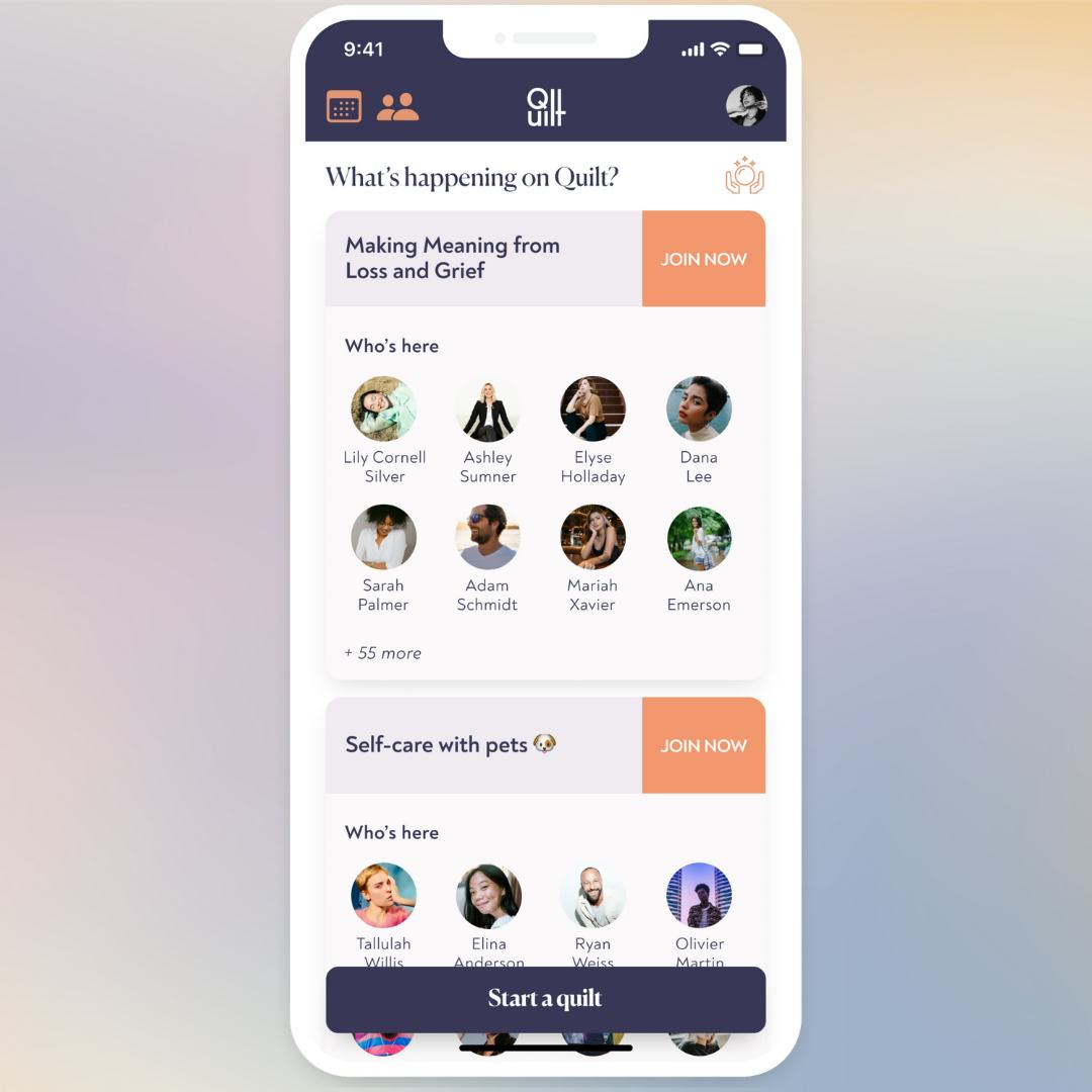 How To Use Quilt App
