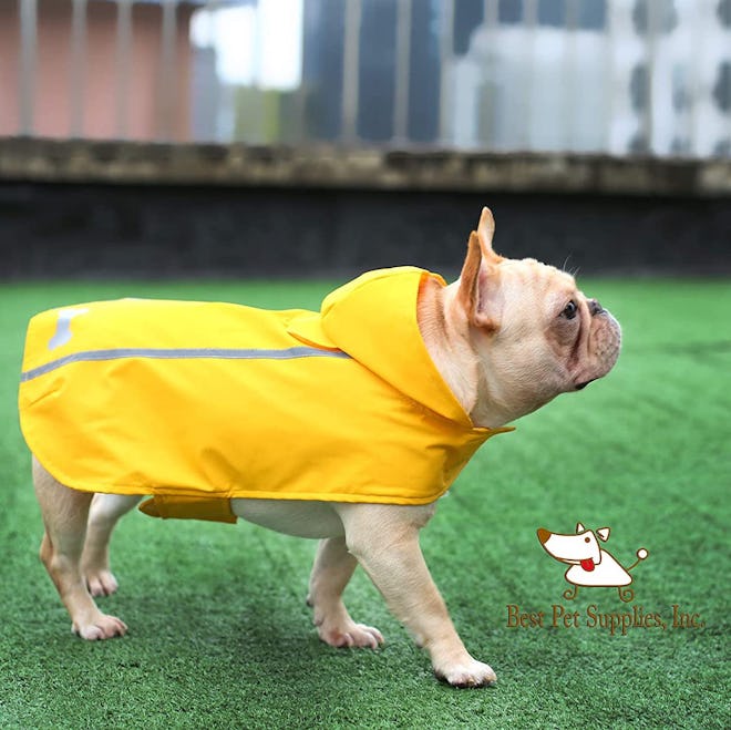 Best Pet Supplies Rain Coat
