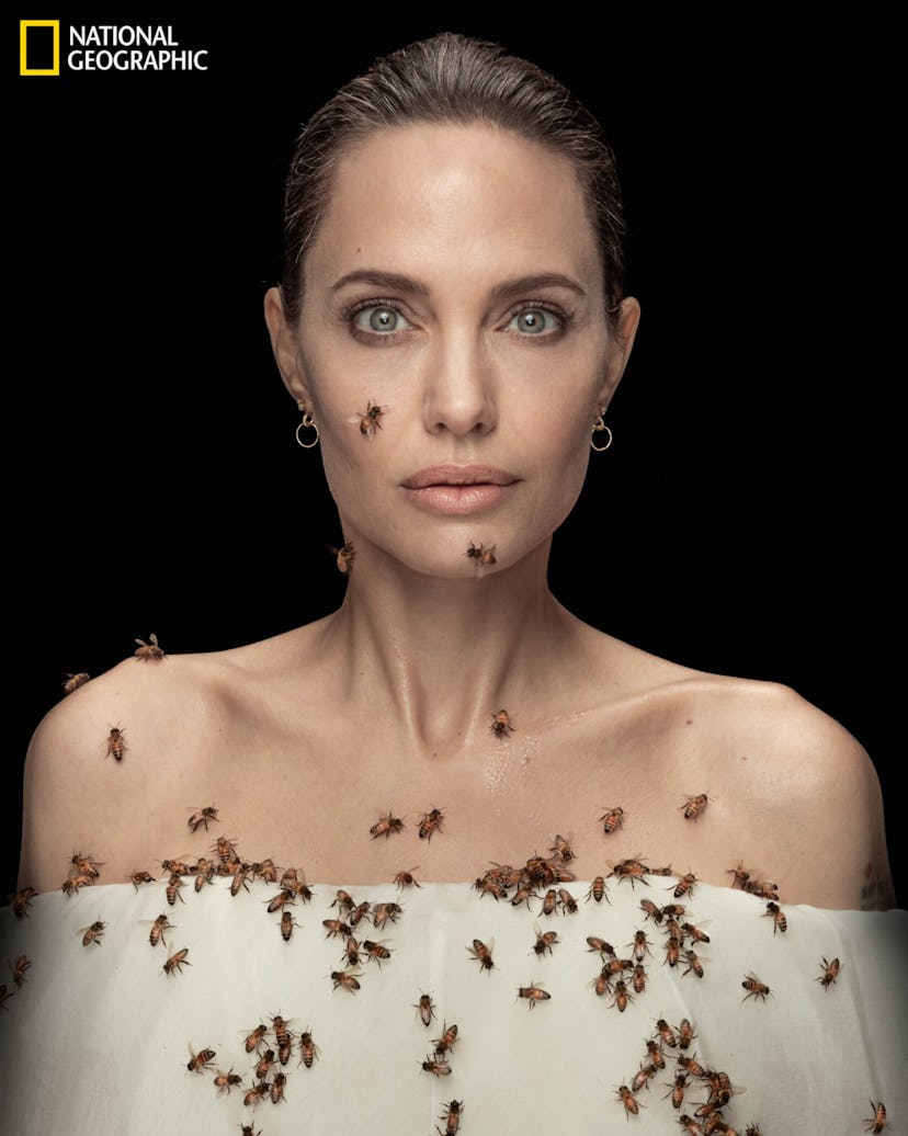 Angelina Jolie covered in bees