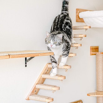 FUKUMARU Cat Climbing Shelf 