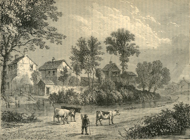 Illustration of a farm with cows and trees