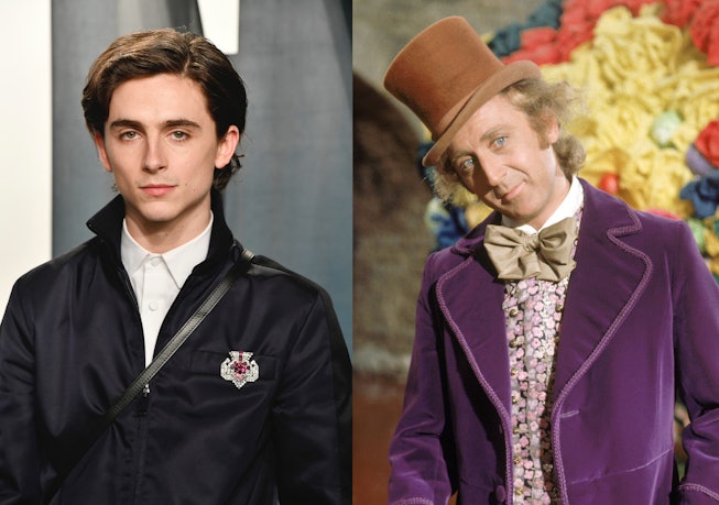 Timothee Chalamet Will Star As Young Willy Wonka In New Musical