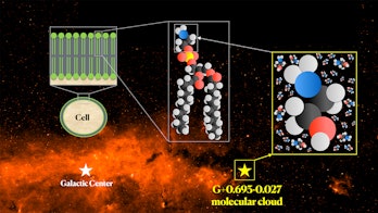 ethanolamine in molecular cloud G+0.693-0.027 in galactic center