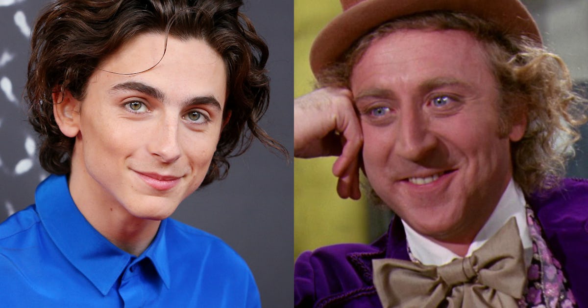 Timothy Chalamet jouera Willy Wonka dans Origin Story Timothy Chalamet jouera Willy Wonka dans Origin Story