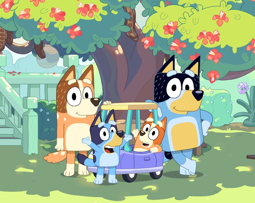 Bluey, Bingo, Bandit, and Chilli will delight audiences with a third season.