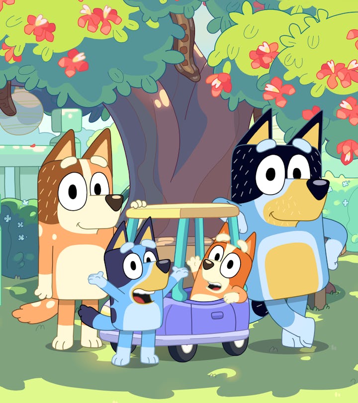 Bluey Season 3 News Premiere Date How To Watch Bluey Season 3 News Premiere Date How To Watch