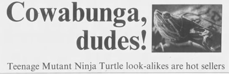 turtles headline