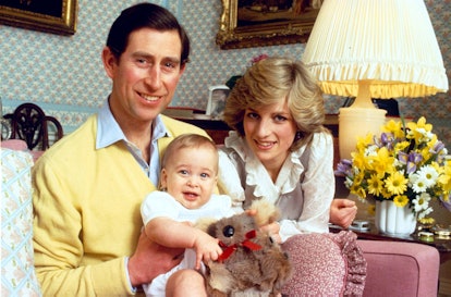 Family portrait of Charles, Diana and William, holding a stuffed Koala