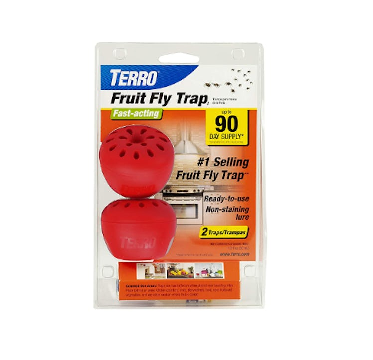 TERRO Fruit Fly Trap (2-Pack)