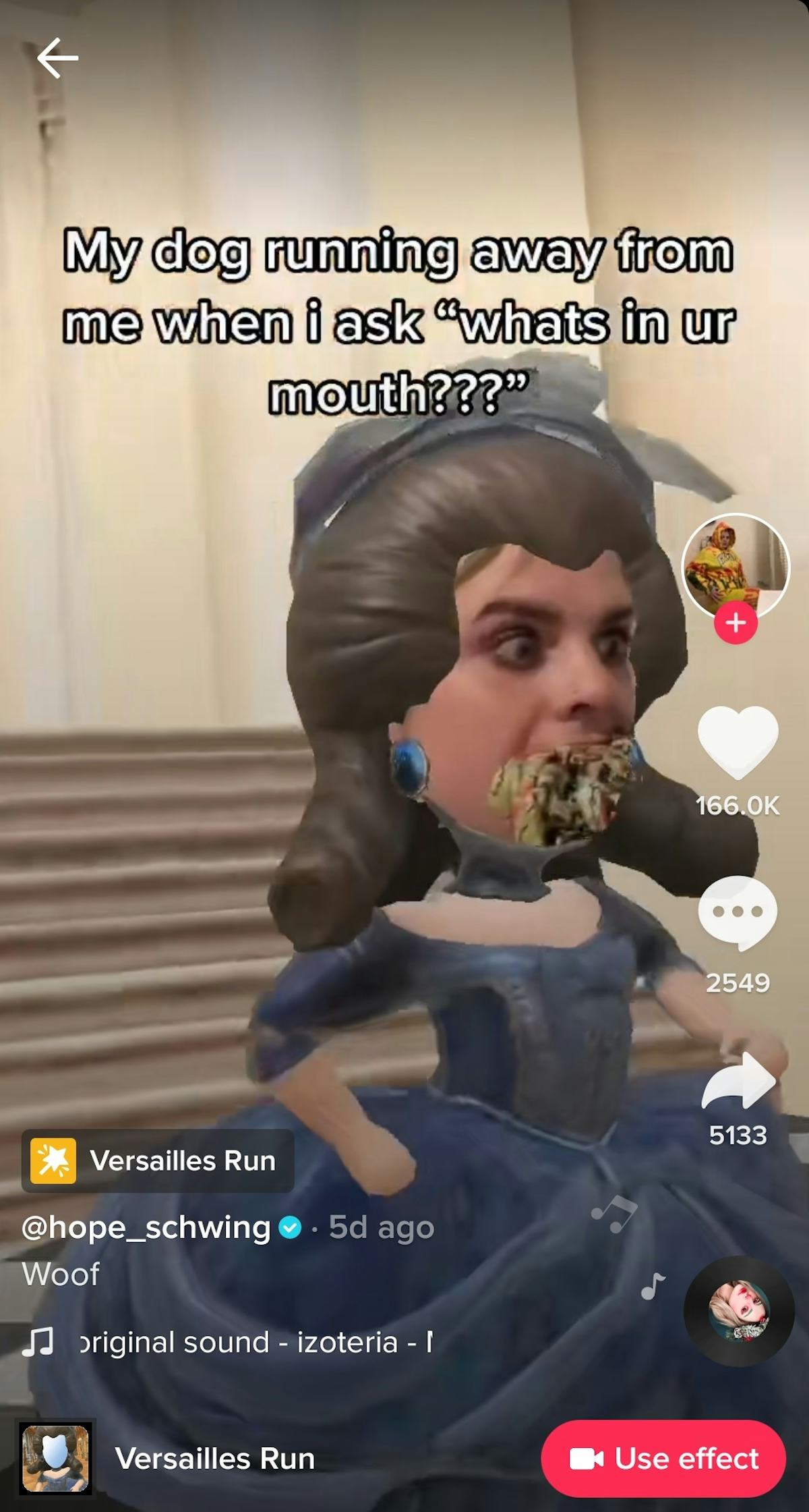 16 Best Versailles Run Tiktok Filter Memes That Are Royally Funny 16 Best Versailles Run Tiktok Filter Memes That Are Royally Funny