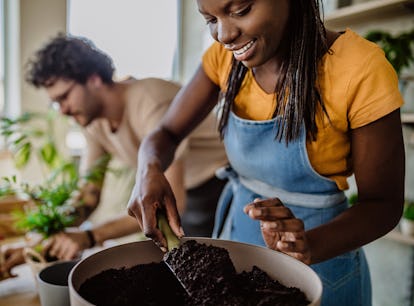 Couple potting plants as part of the 2021 home decor trend they should try, based on their zodiac si...
