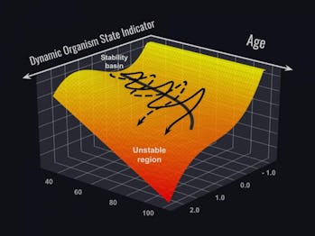 graph longevity