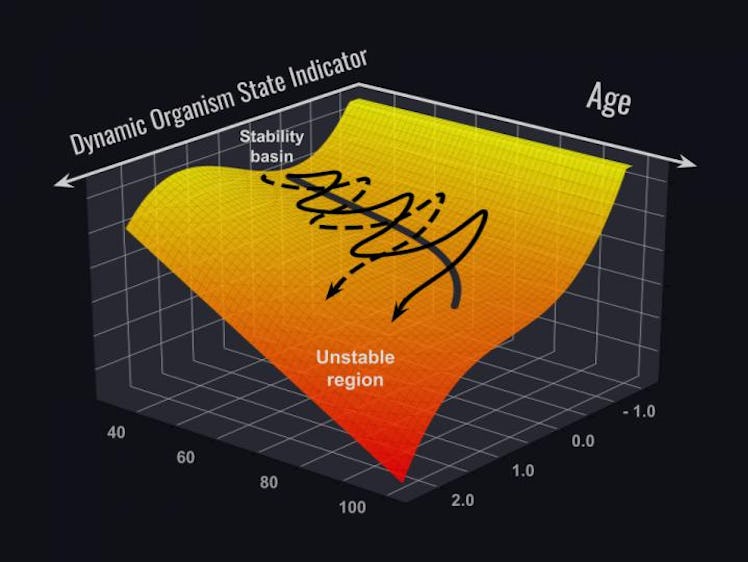 graph longevity