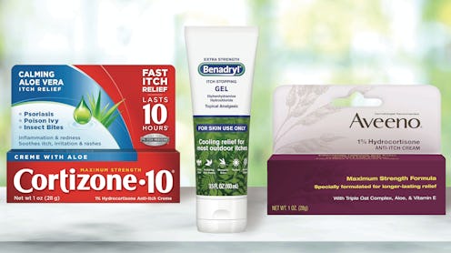 The Best Ointments Or Creams For Insect Bites