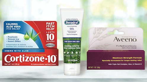 The Best Ointments Or Creams For Insect Bites
