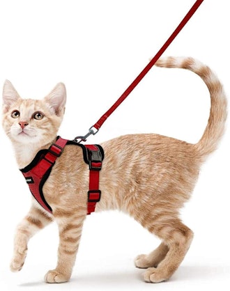 rabbitgoo Cat Harness