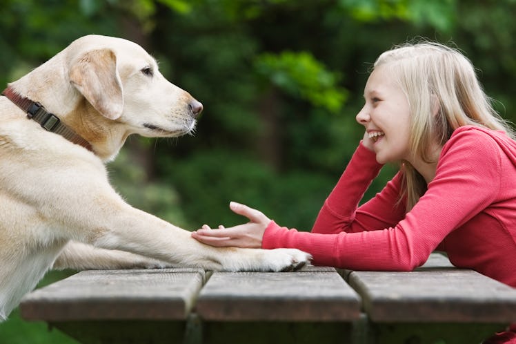 Girl plays with dog at picnic table