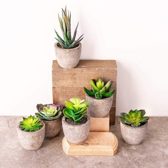 Sophia's Garden Mini Fake Artificial Succulent Plants (6-Pots)