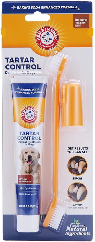 Arm & Hammer Dog Dental Care Kit