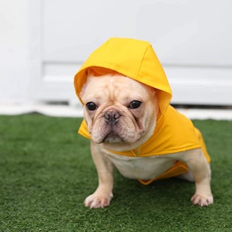 Best Pet Supplies Raincoat